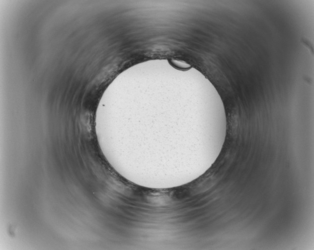 X0000102530232200808291827