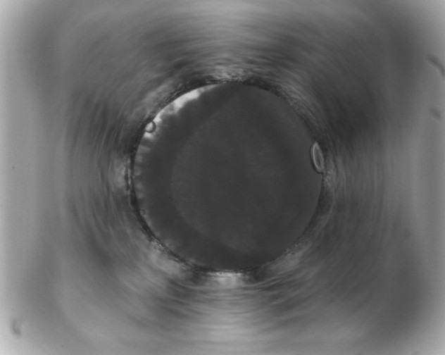 X0000102530233200808291827