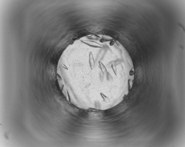 X0000102530234200808291827