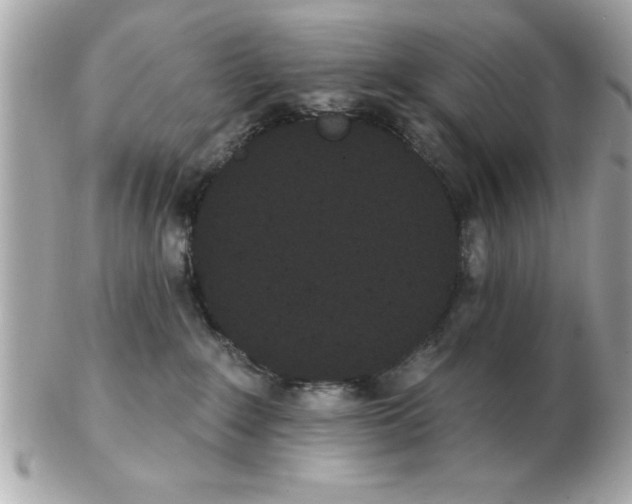 X0000102530235200808291827