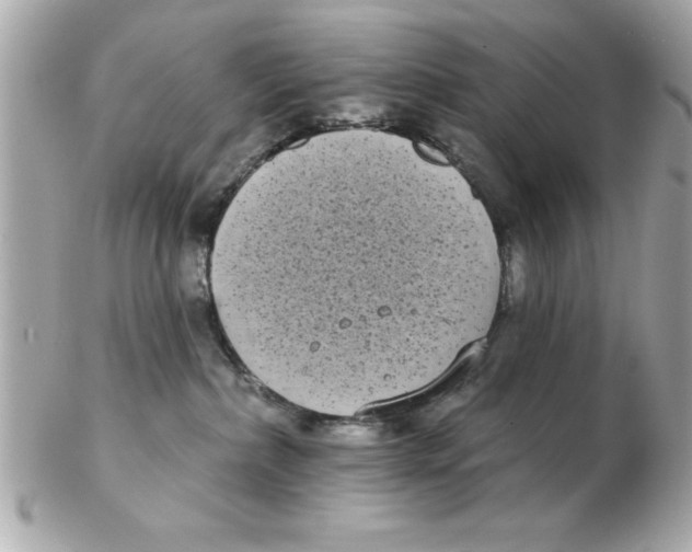 X0000102530236200808291827