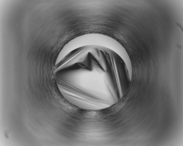 X0000102530237200808291827