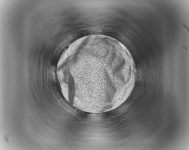 X0000102530238200808291827