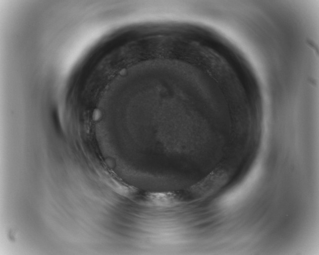 X0000102530239200808291827