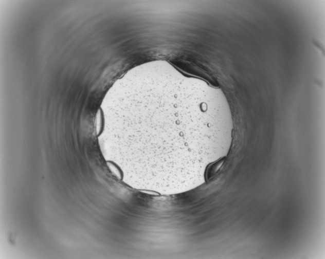 X0000102530240200808291827
