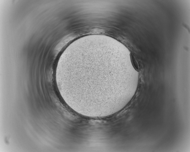 X0000102530242200808291826