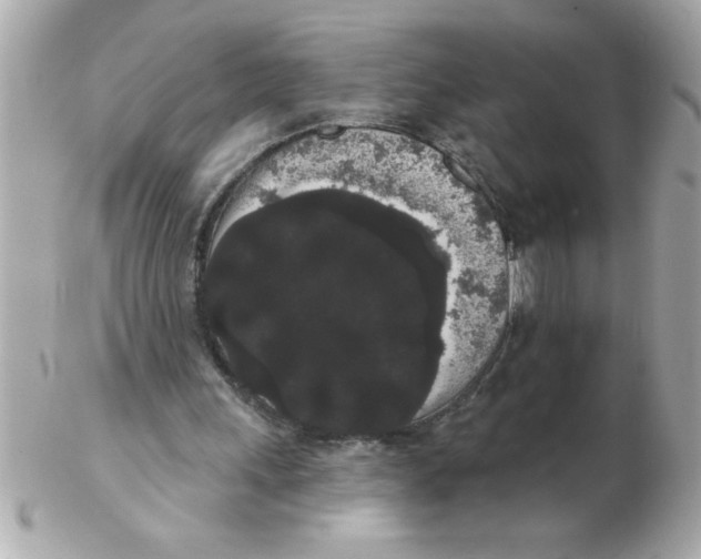 X0000102530243200808291826