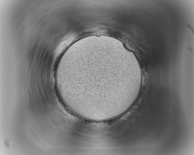 X0000102530245200808291826