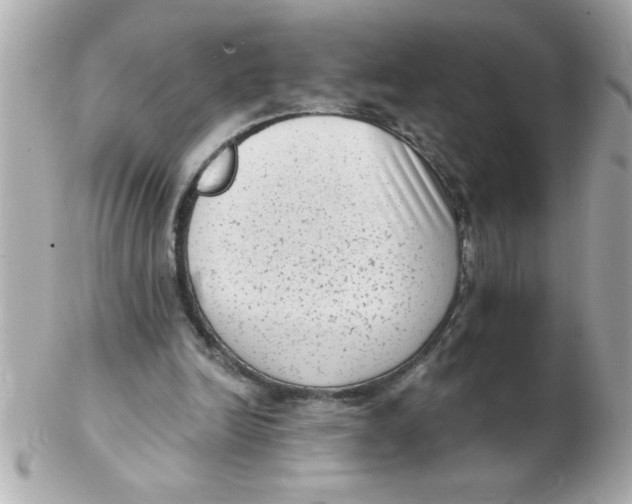 X0000102530246200808291826