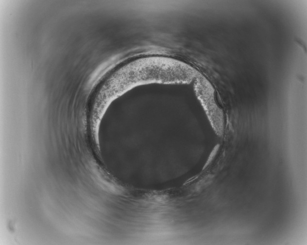 X0000102530247200808291826