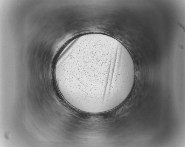 X0000102530248200808291826