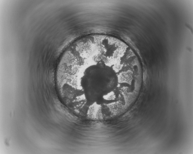 X0000102530249200808291826