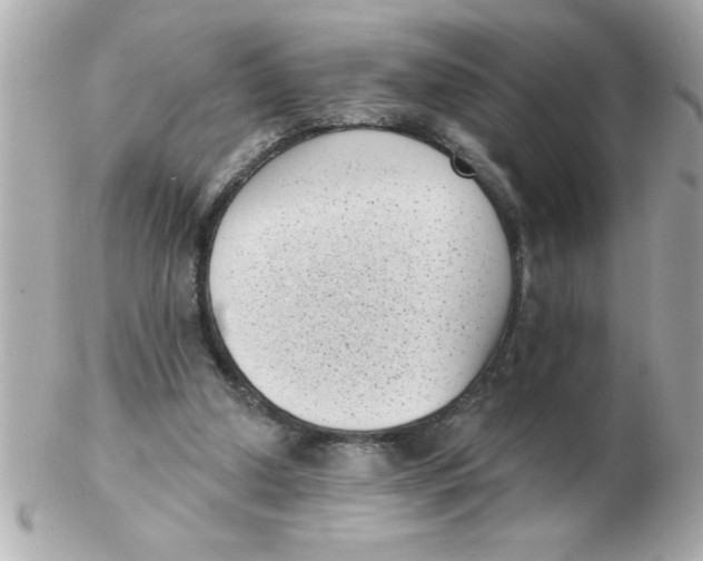 X0000102530250200808291826