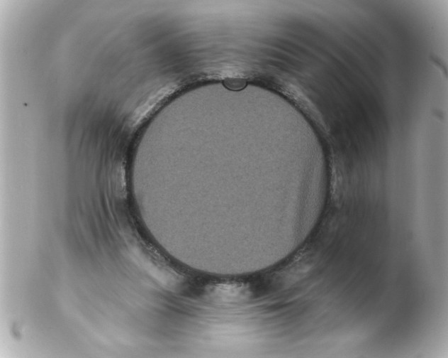 X0000102530251200808291826