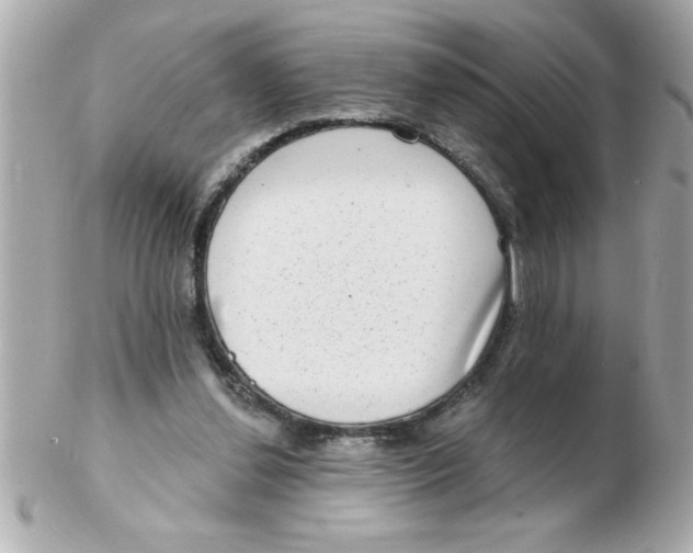 X0000102530252200808291826