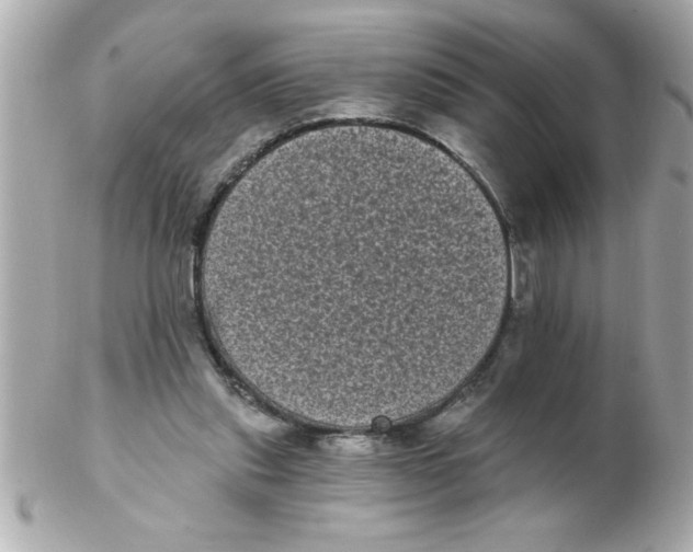 X0000102530253200808291826