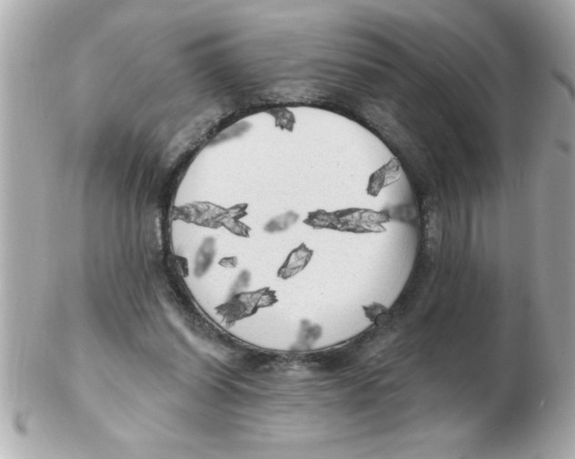 X0000102530254200808291826