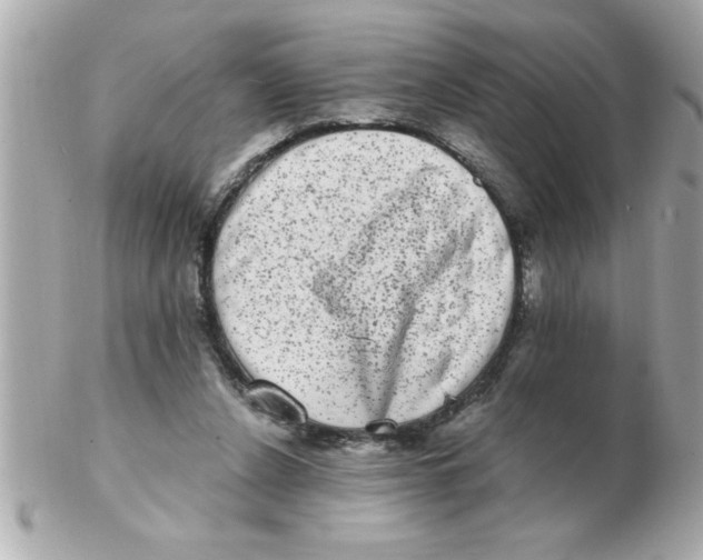 X0000102530256200808291826