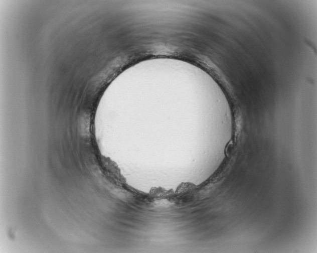 X0000102530257200808291826
