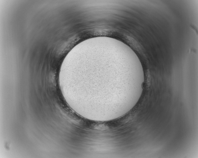 X0000102530258200808291826