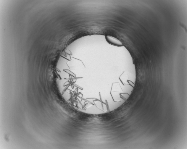 X0000102530259200808291826