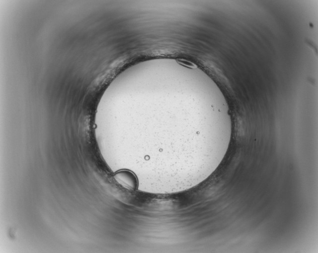 X0000102530260200808291826