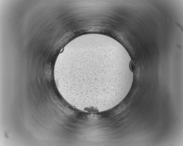X0000102530261200808291826