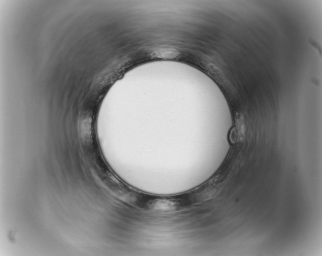 X0000102530263200808291826