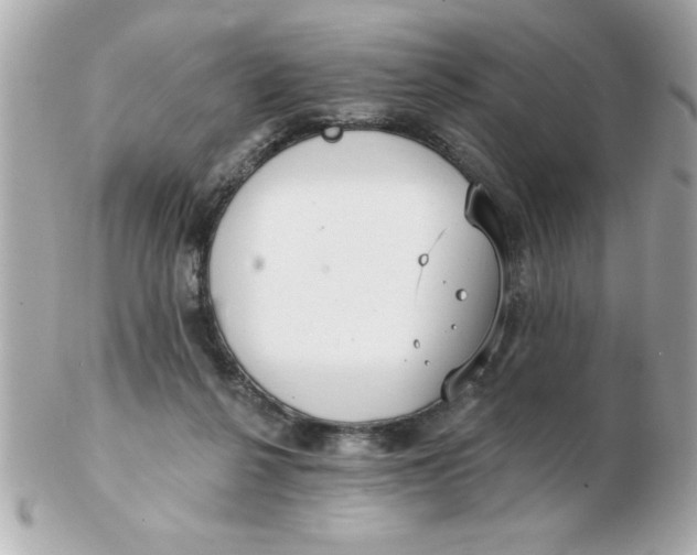 X0000102530264200808291826