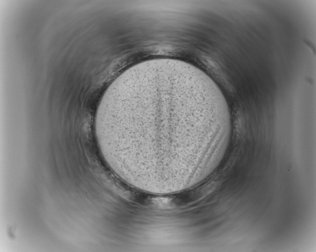 X0000102530265200808291826