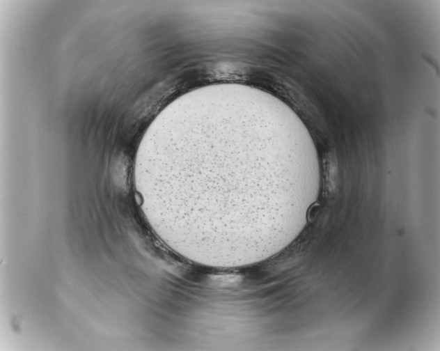 X0000102530266200808291826
