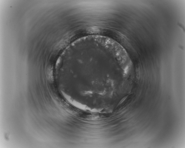 X0000102530267200808291826
