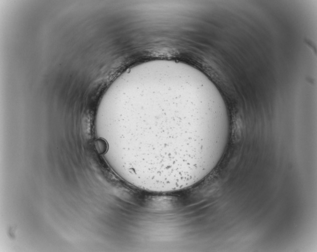 X0000102530268200808291826