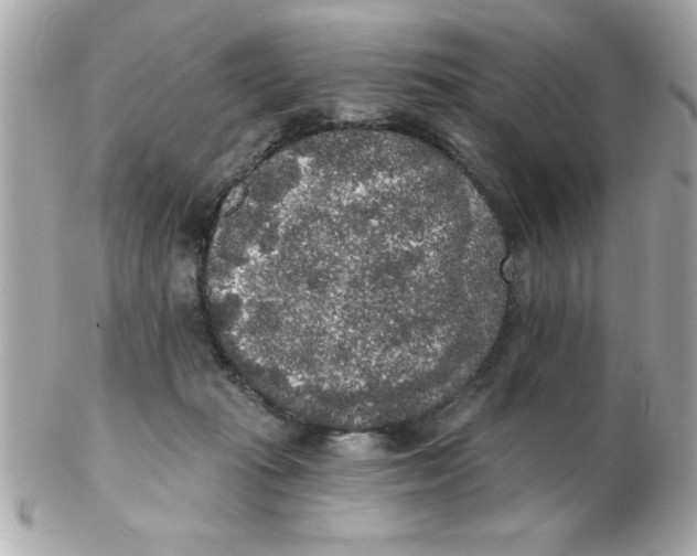 X0000102530269200808291826