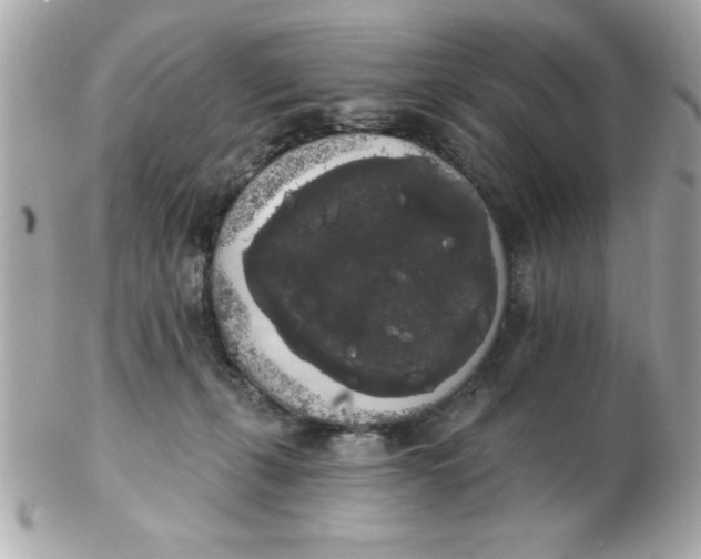 X0000102530271200808291826