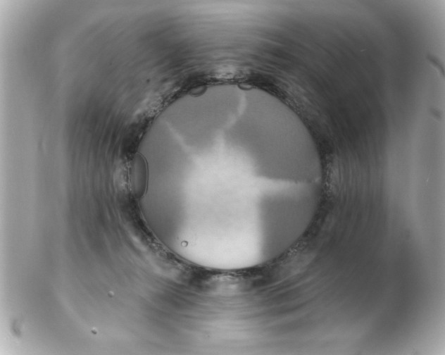 X0000102530272200808291826