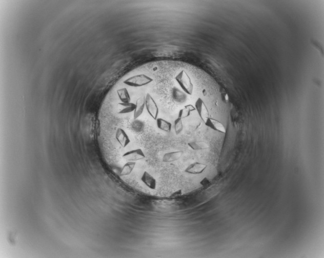 X0000102530273200808291826
