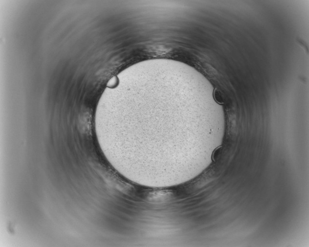 X0000102530274200808291826