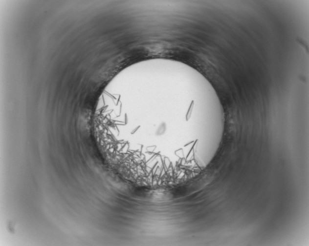X0000102530275200808291826