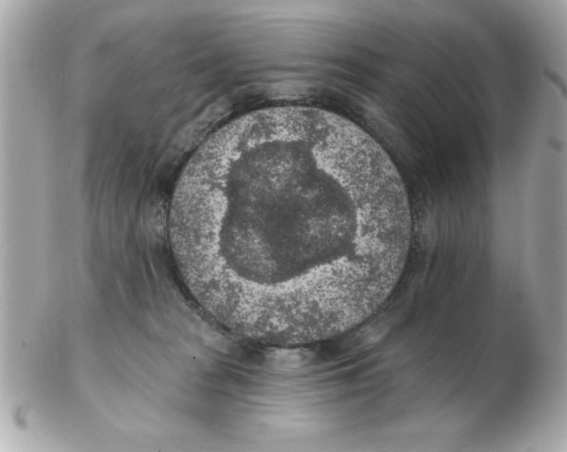 X0000102530277200808291826