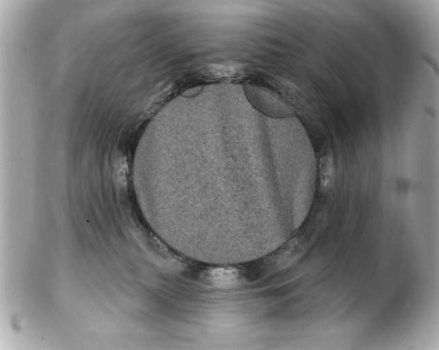 X0000102530279200808291826