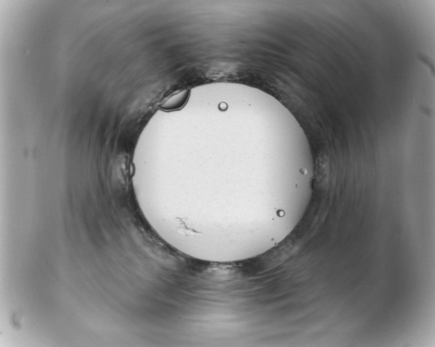 X0000102530280200808291826