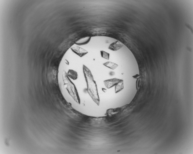 X0000102530281200808291827
