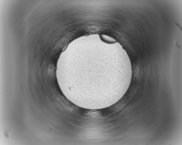 X0000102530283200808291827