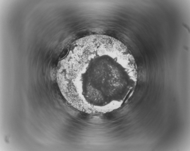 X0000102530285200808291827