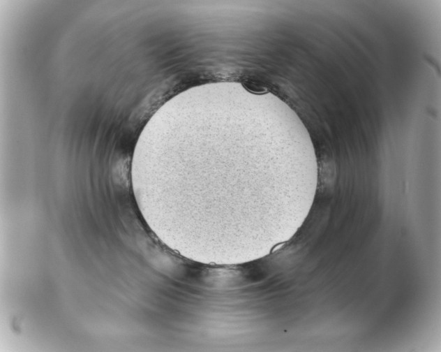 X0000102530286200808291827
