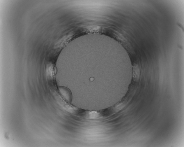 X0000102530287200808291827