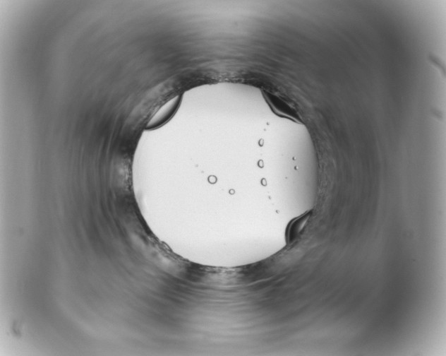X0000102530288200808291827