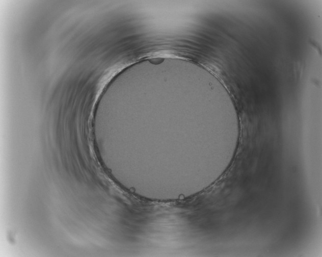 X0000102530289200808291826