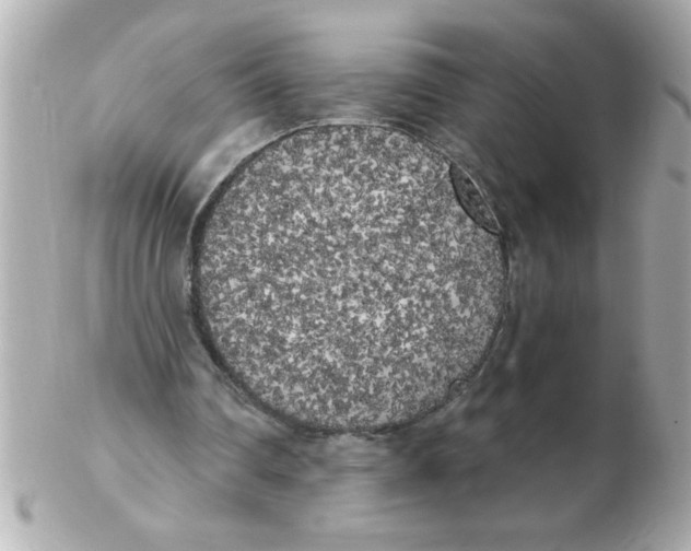 X0000102530290200808291826